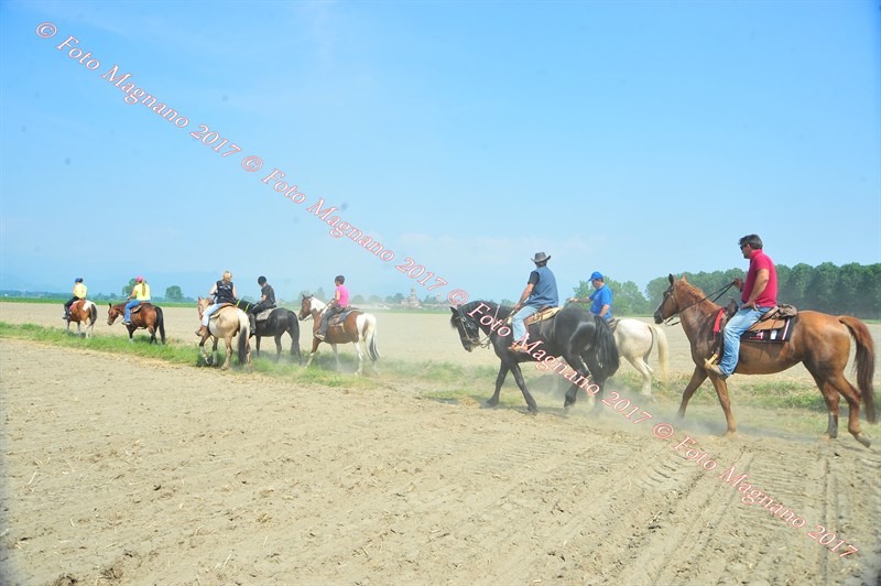 DSC_0835.JPG